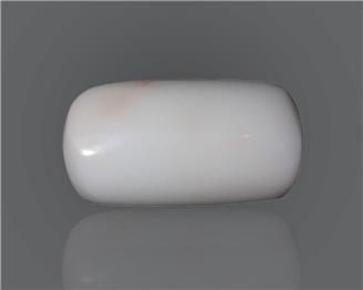 Natural White Coral  17.43 CTS (50227)